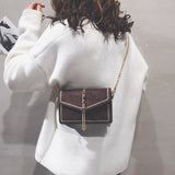 Velvet Style Chain Sling Bag [Pre-Order] Color: Brown/Black/Gray/Red 581899823366#3890100420668