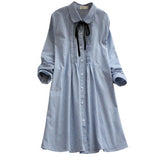 Buttoned Down Stripe Shirt Dress