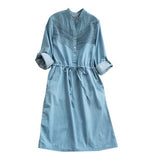 Embellished Neckline Dress