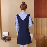 Plus-Size Embroidered Shirt Dress